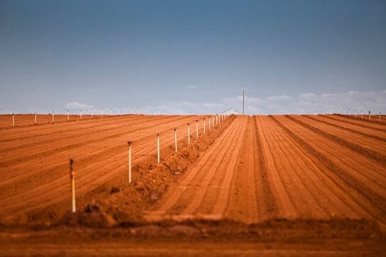 Sunraysia farm sells for $11.5 million